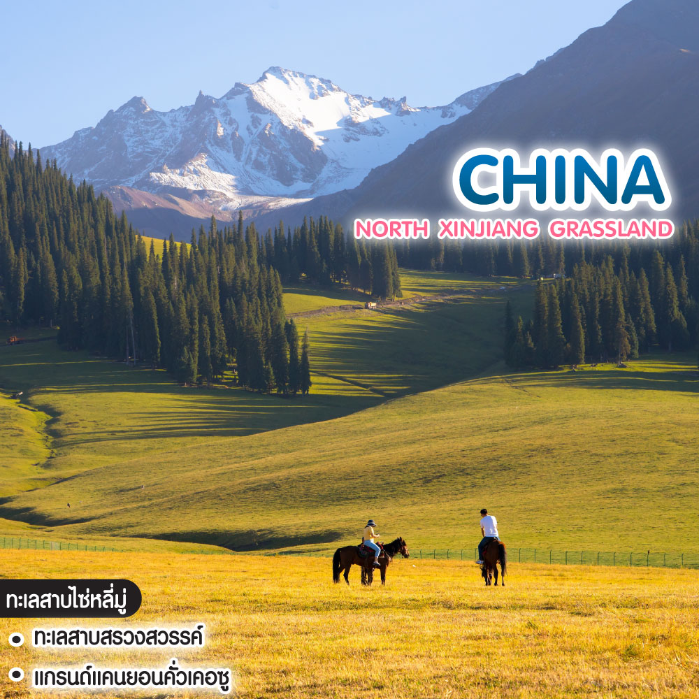 ทัวร์จีน North Xinjiang Grassland อูรุมชี อี้หนิง อี้หลี นาราถี คาลาจวิ้น