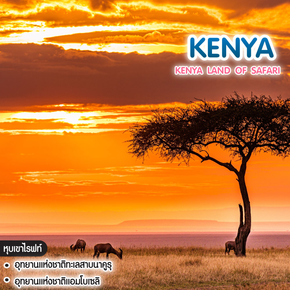 ทัวร์เคนย่า Kenya Land of Safari 